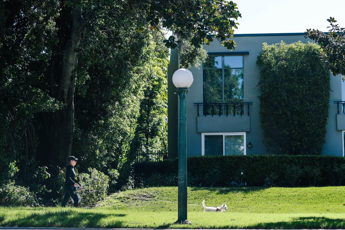 A person walks their dog past a a bronze street lamp post along Orange Grove Blvd. in Pasadena.
