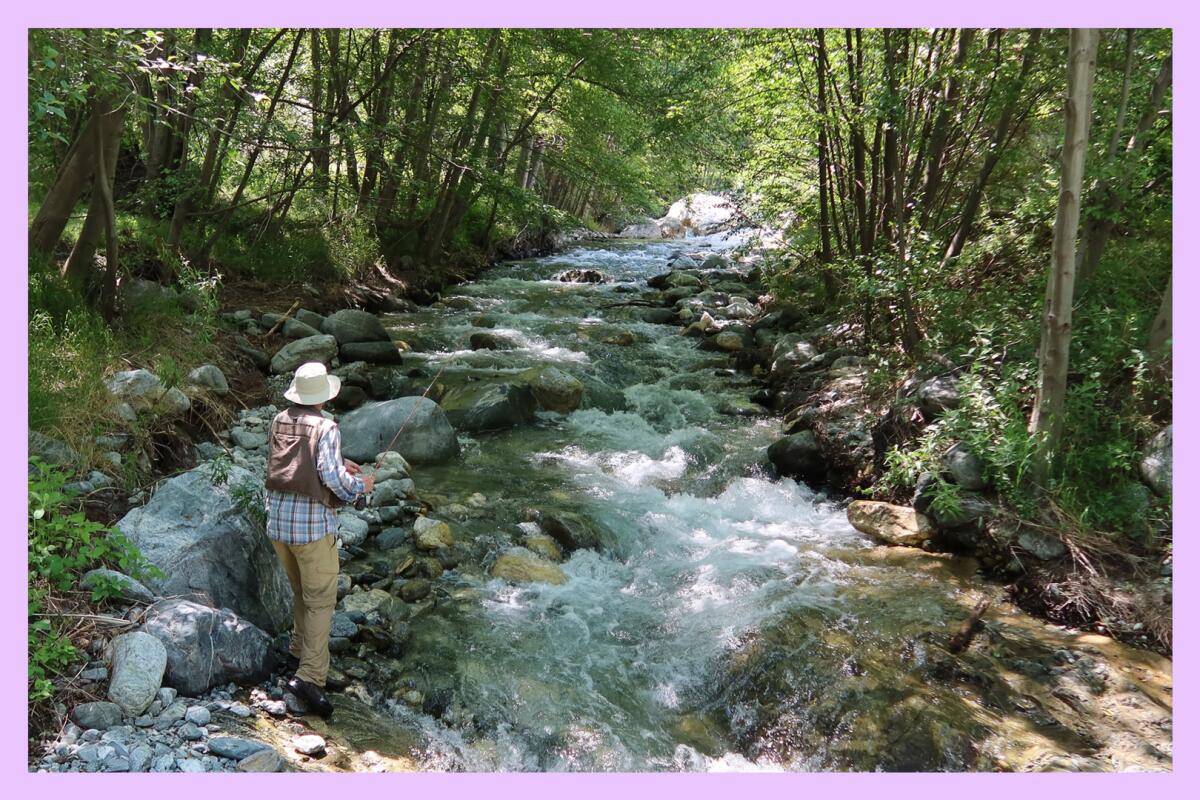 A person fly-fishing along a rushing stream