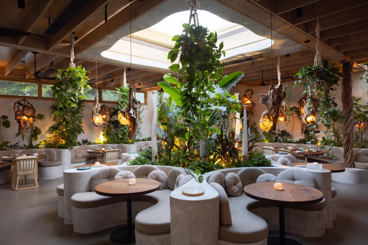 An interior of Meteora's main dining room. Plants hang from the ceiling.