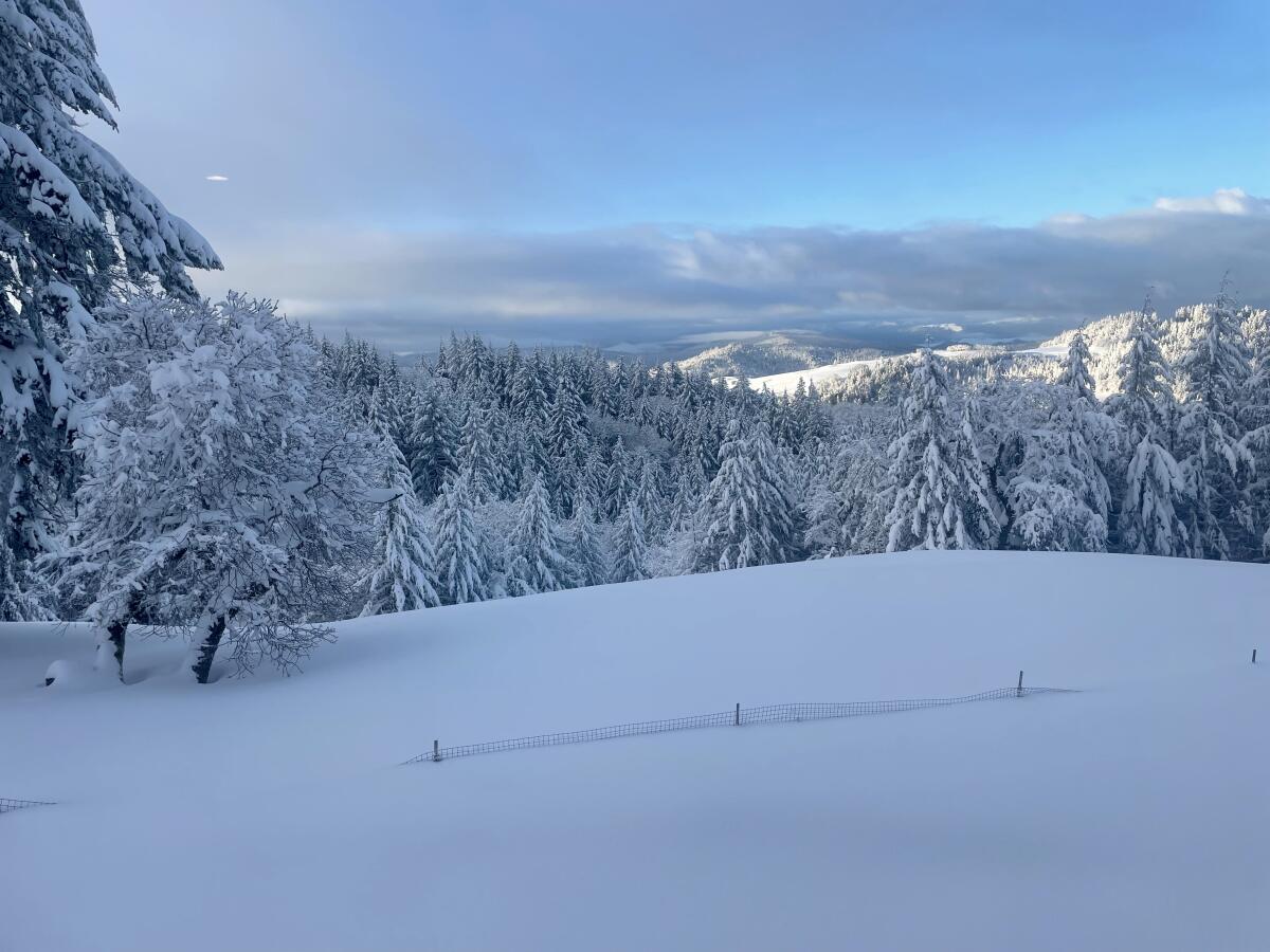 Snowfall on the mountains 