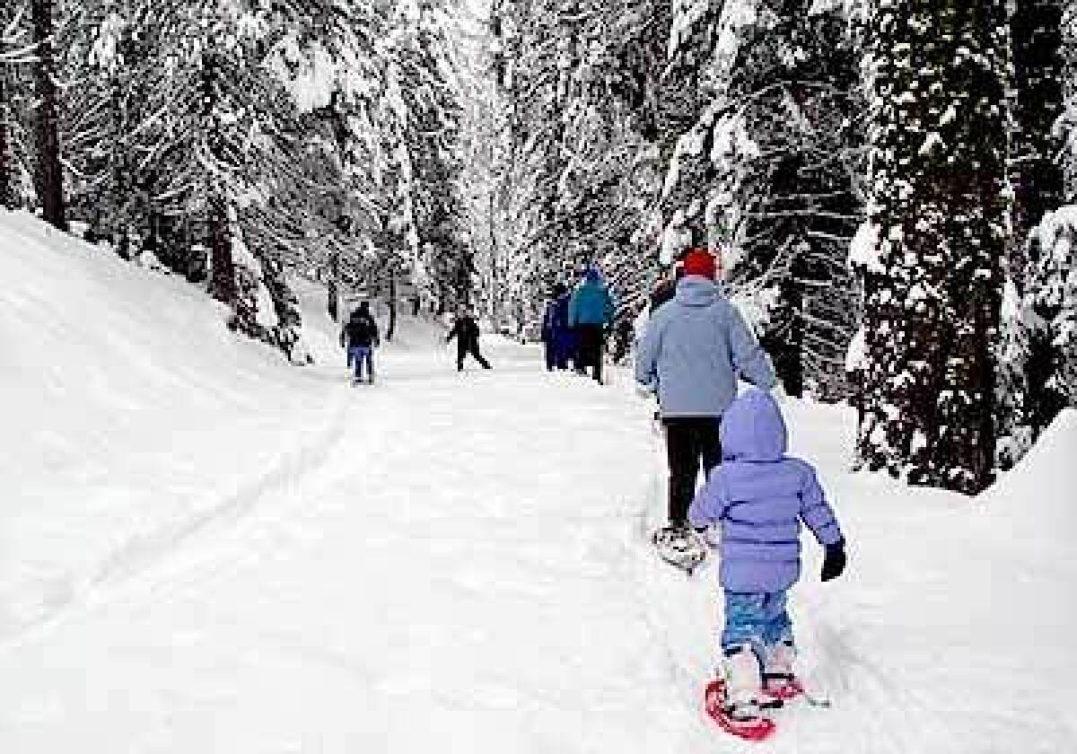 Ranger-led snowshoe hikes are conducted twice a day on Saturdays and Sundays and daily during holiday weeks in Sequoia National Park. The park service lends the snowshoes for free.