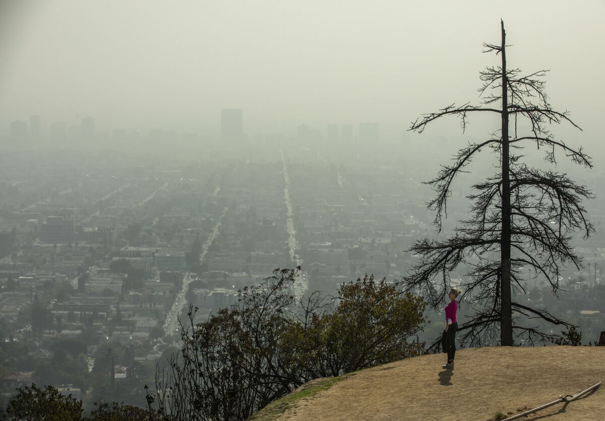 A wideshot of a woman standing on an outcropping with a view of a city amid polluted air.