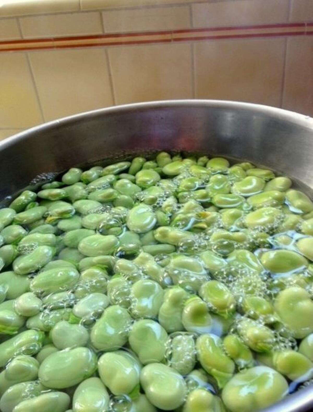 Fava beans, freshly shelled and ready to be peeled.