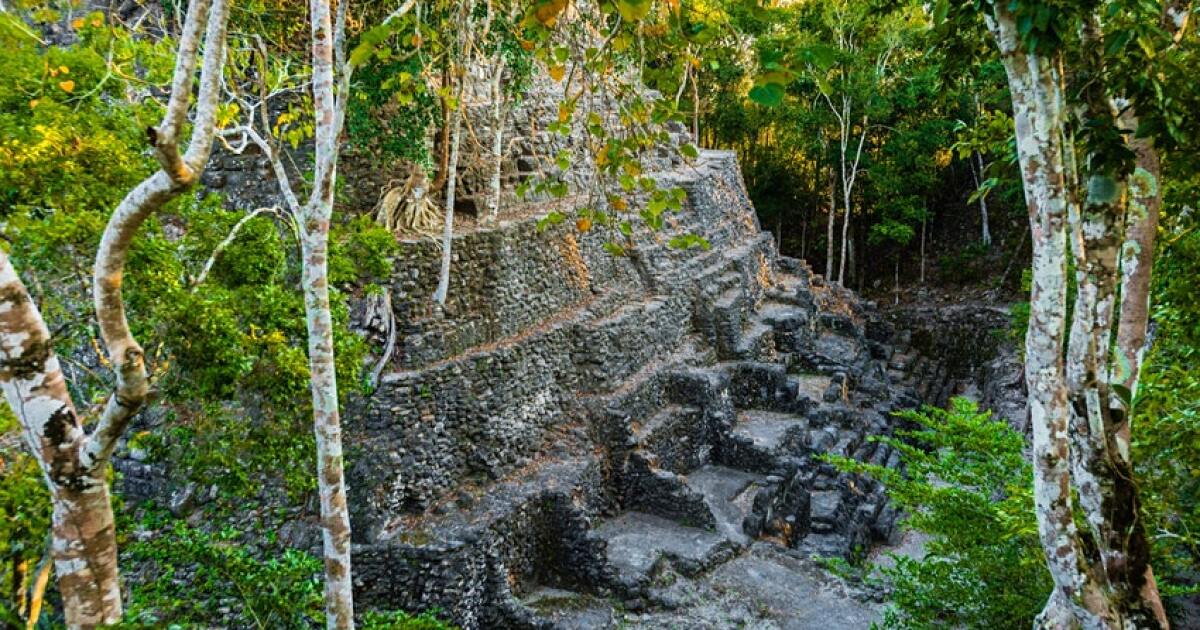Jaguars, narcos, illegal loggers: One man’s battle to save a Guatemalan jungle and Maya ruins