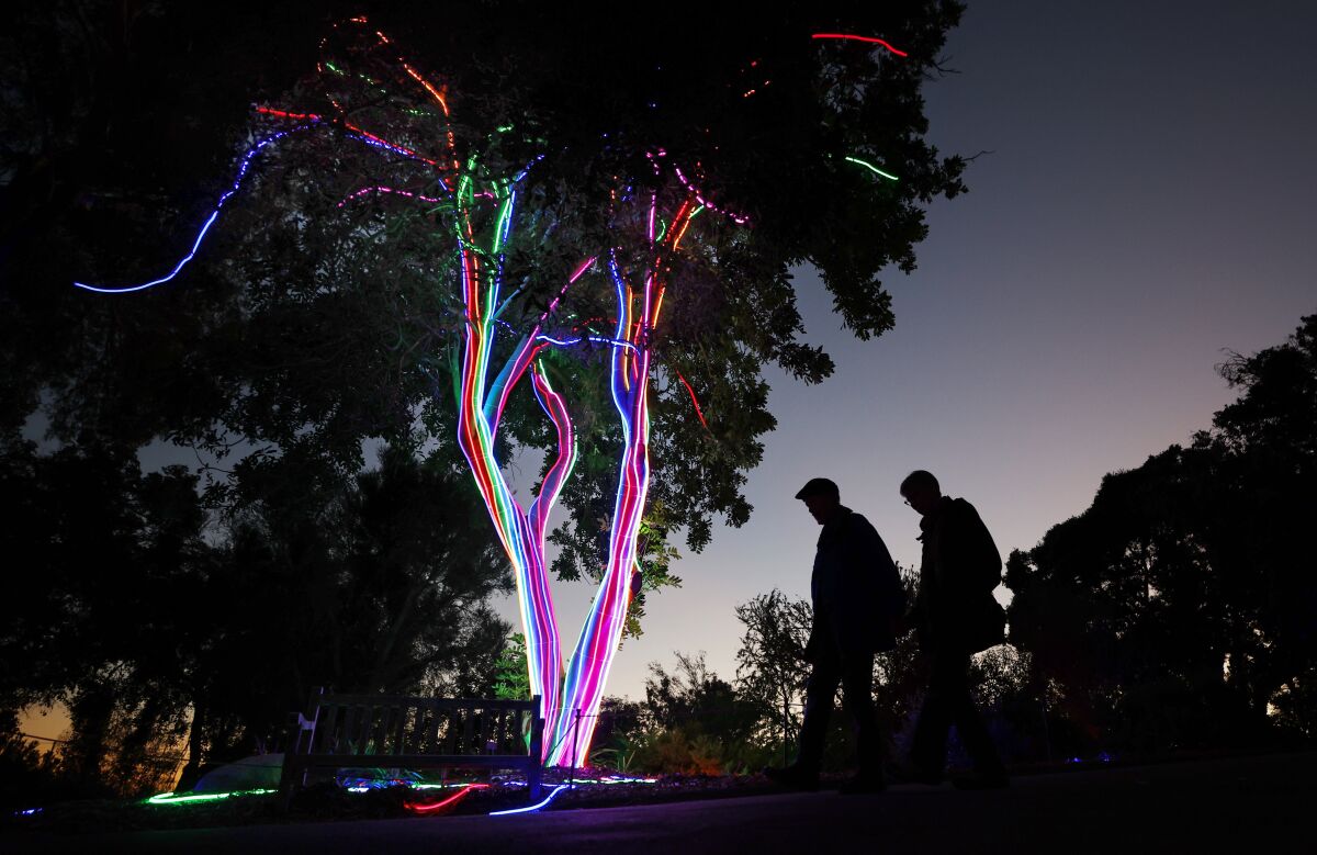 People walk by the Neon Tree which is part of Lightscape at the San Diego Botanic Garden.