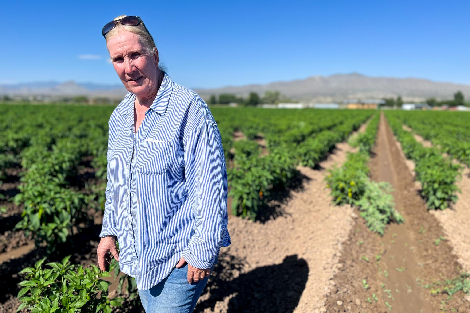 A woman with blond hair, in a blue long-sleeved shirt, stands in a field with rows of green crops