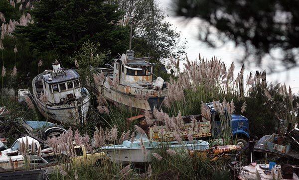 The 2-year-old ban on salmon fishing off the California coast has helped fill a boat graveyard run by Bruce Abernathy in Fort Bragg, Calif. Abernathy buys them in hopes of selling their fishing rights when the ban ends.