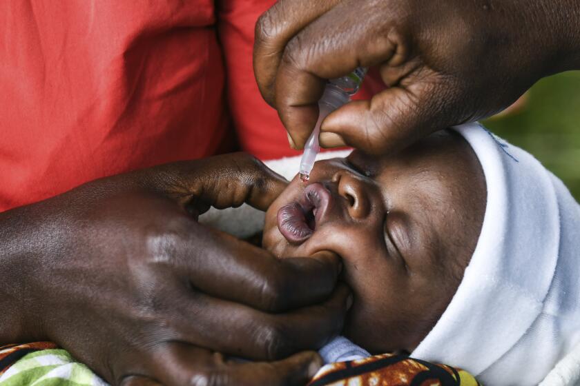 A baby receives a polio vaccine during the Malawi Polio Vaccination Campaign Launch, in Lilongwe Malawi, Sunday March 20, 2022. A drive to vaccinate more than 9 million children against polio has been launched this week in four countries in southern and eastern Africa after an outbreak was confirmed in Malawi. (AP Photo/Thoko Chikondi)