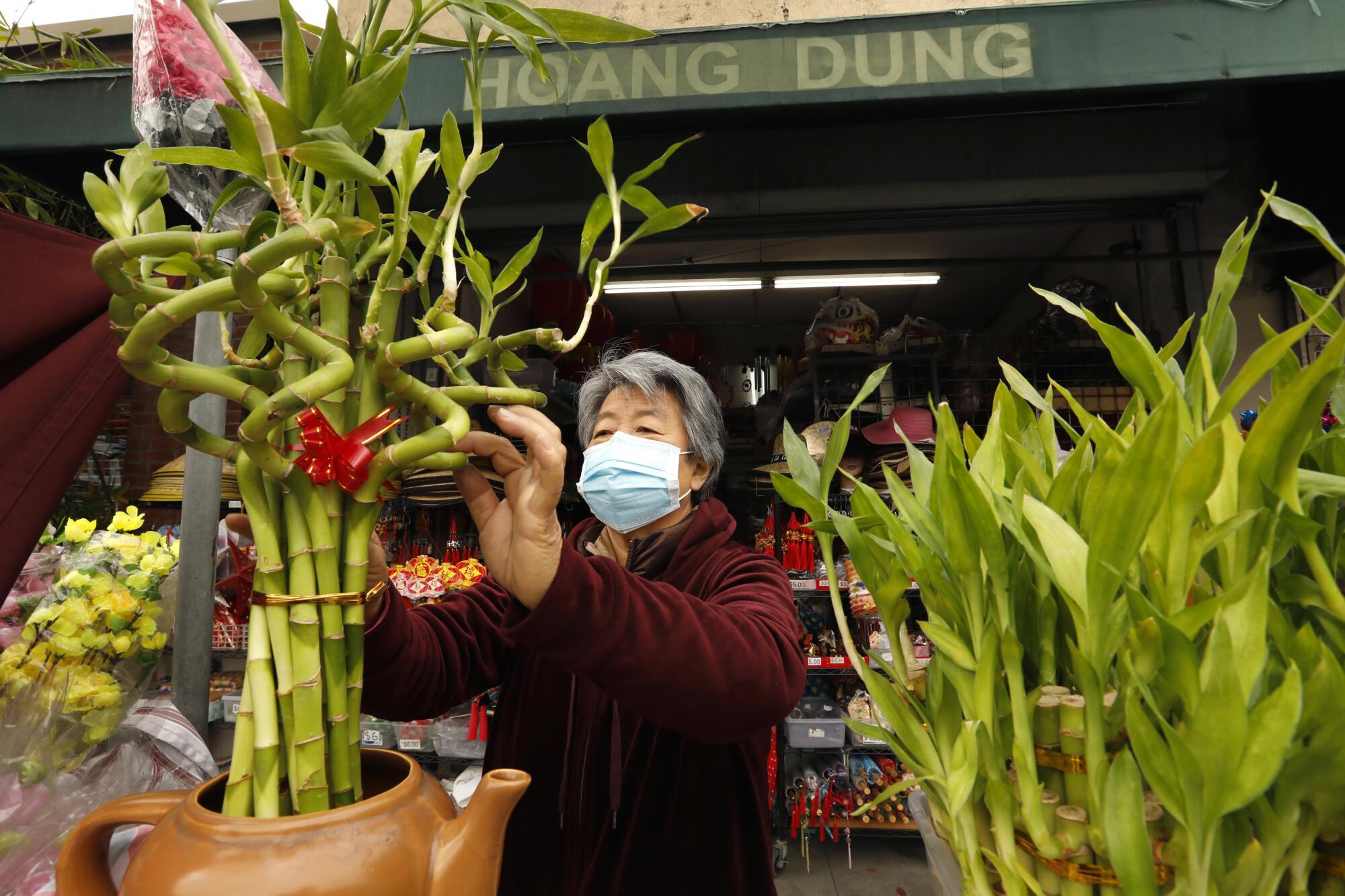 Mary Lu arranges lucky bamboo plants on sale at her shop on Broadway in Chinatown
