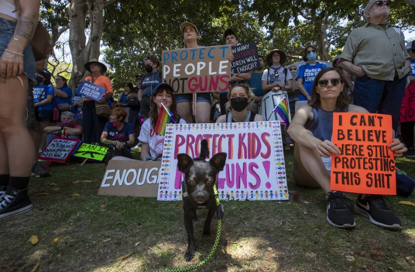 Archie, a mixed breed dog is with his owner Gaby Navarro joined hundreds of people in a rally during the March for our Lives.