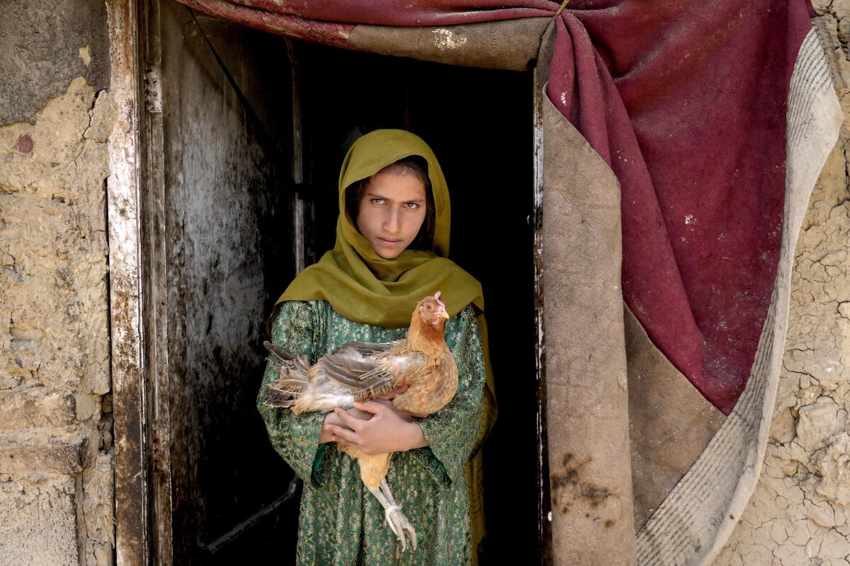 Una niña sostiene una gallina en Kabul, Afganistán, el jueves 28 de abril de 2022.