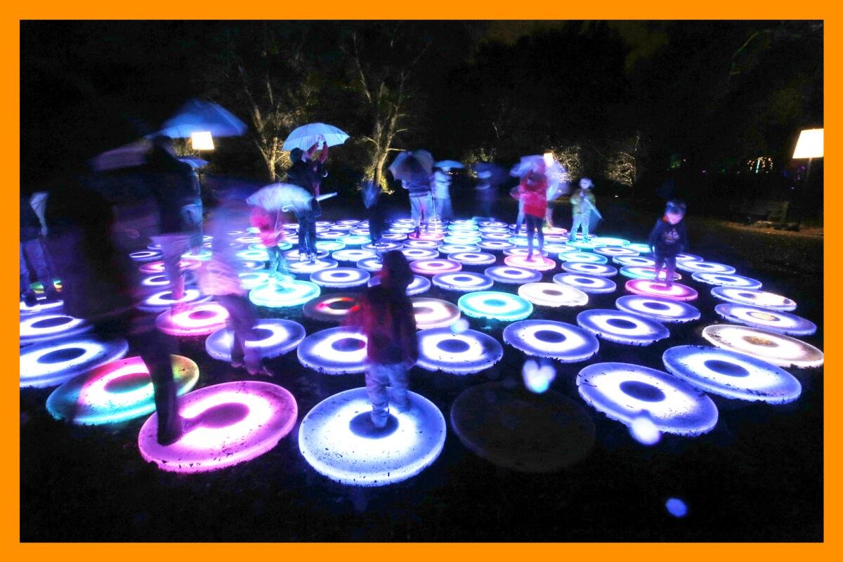 A half dozen people standing on glowing discs of color in the dark of night