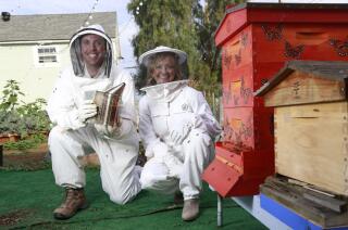 Blind Date: Let it bee
