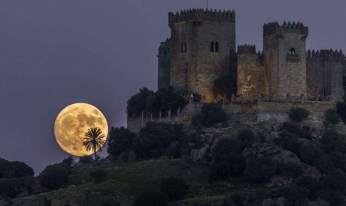 The moon rises behind the castle of Almodovar in Cordoba, southern Spain.