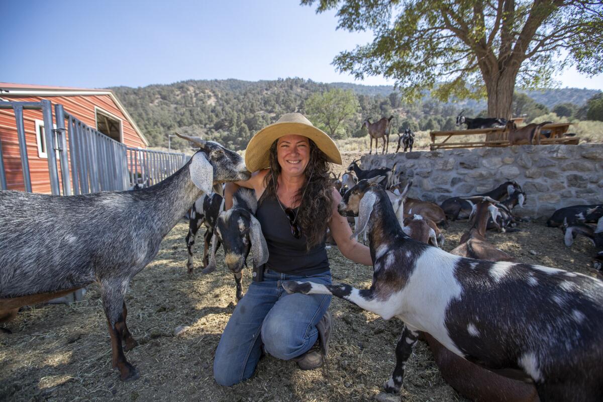 Farmer and cheesemaker Gloria Putnam with her herd of goats.
