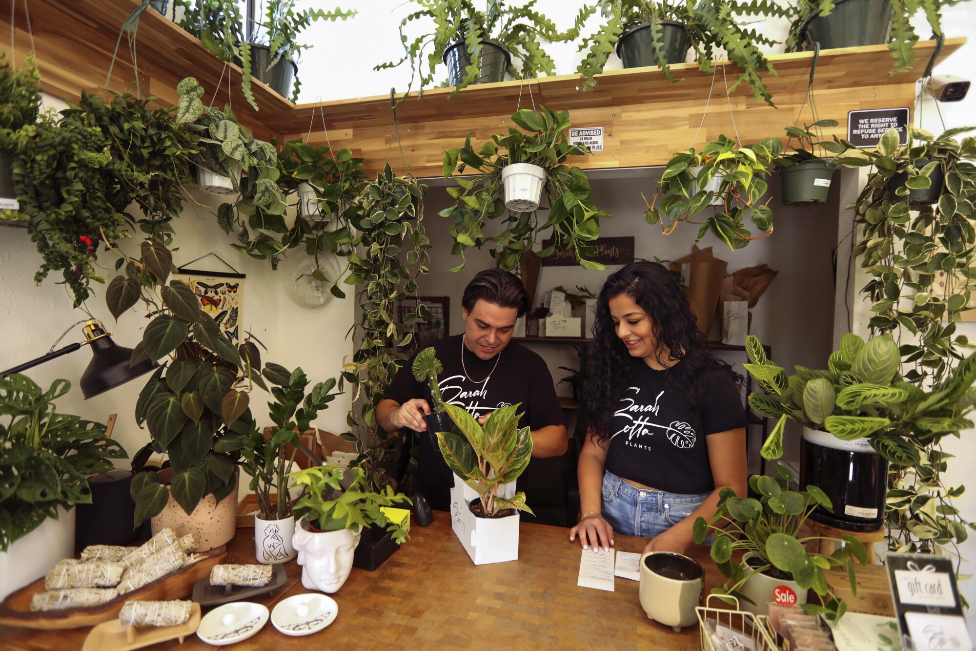 Sarah and Tadeh Bazik stand behind the counter of their store, surrounded by plants.