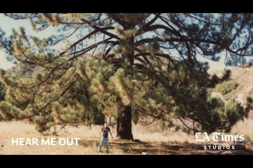 His beloved died of HIV. His beloved's pine tree died of climate change