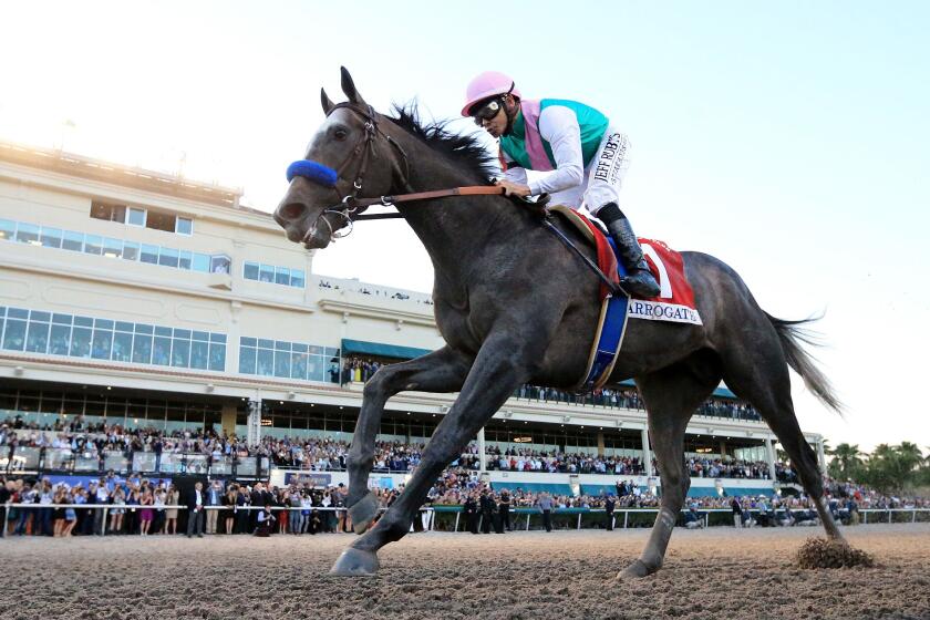 Arrogate crosses the finish to win the $12-million Pegasus World Cup Invitational at Gulfstream Park in Hallandale, Fla., in 2017.