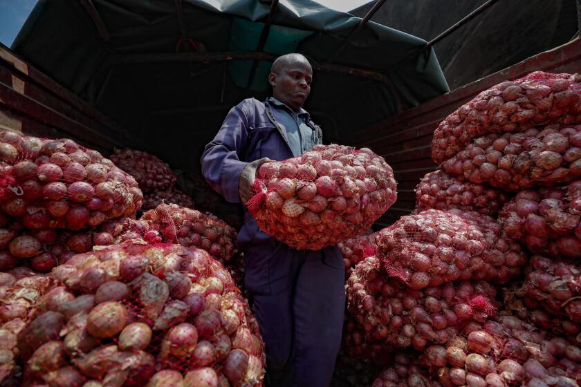 Timothy Kinyua unloads sacks of onions from Ethiopia at an open market in Nairobi, Kenya Tuesday, Sept. 12, 2023. Restrictions on the export of the vegetable by neighboring Tanzania has led prices to triple. The prices for onions from Tanzania were the highest in seven years, Kinyua said. Some traders have adjusted by getting produce from Ethiopia. (AP Photo/Brian Inganga)