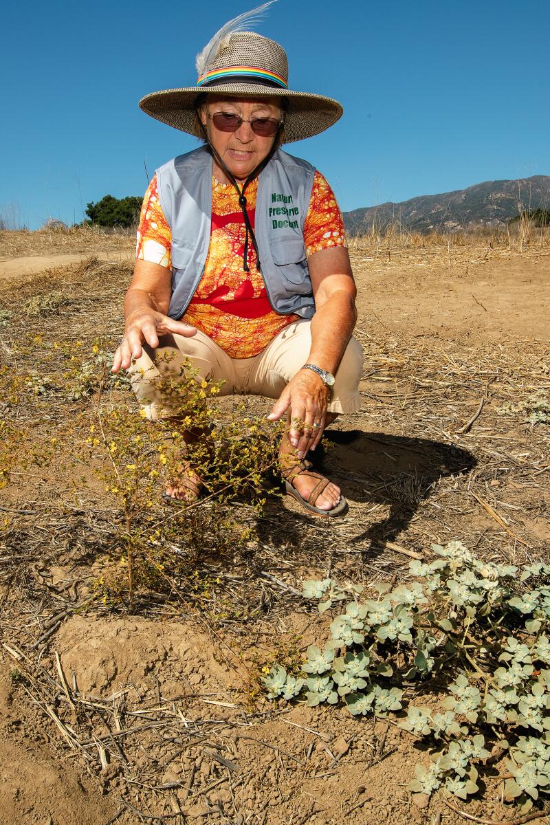 A woman crouched near a dry plant.