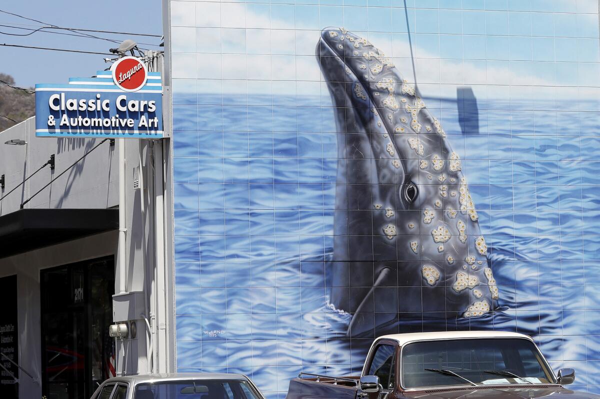 A whale mural 