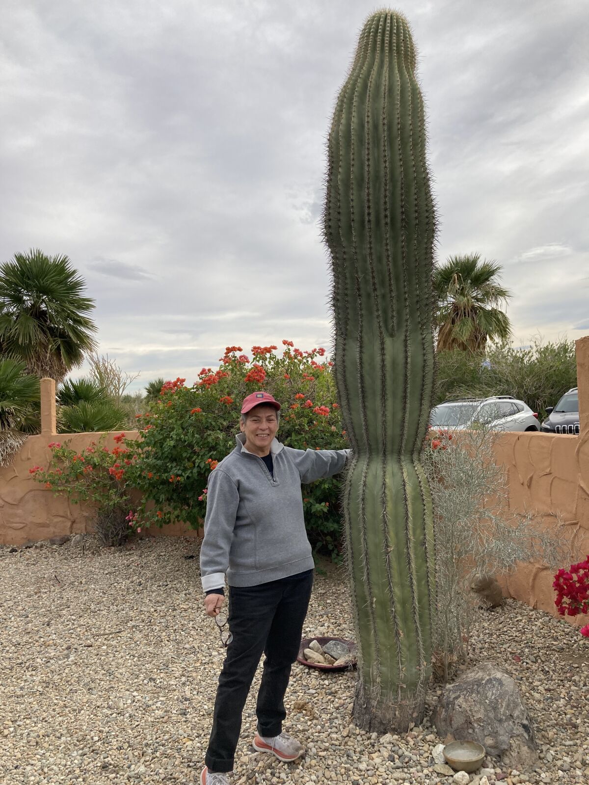 A woman stands next to a large cardon cactus at a desert home.