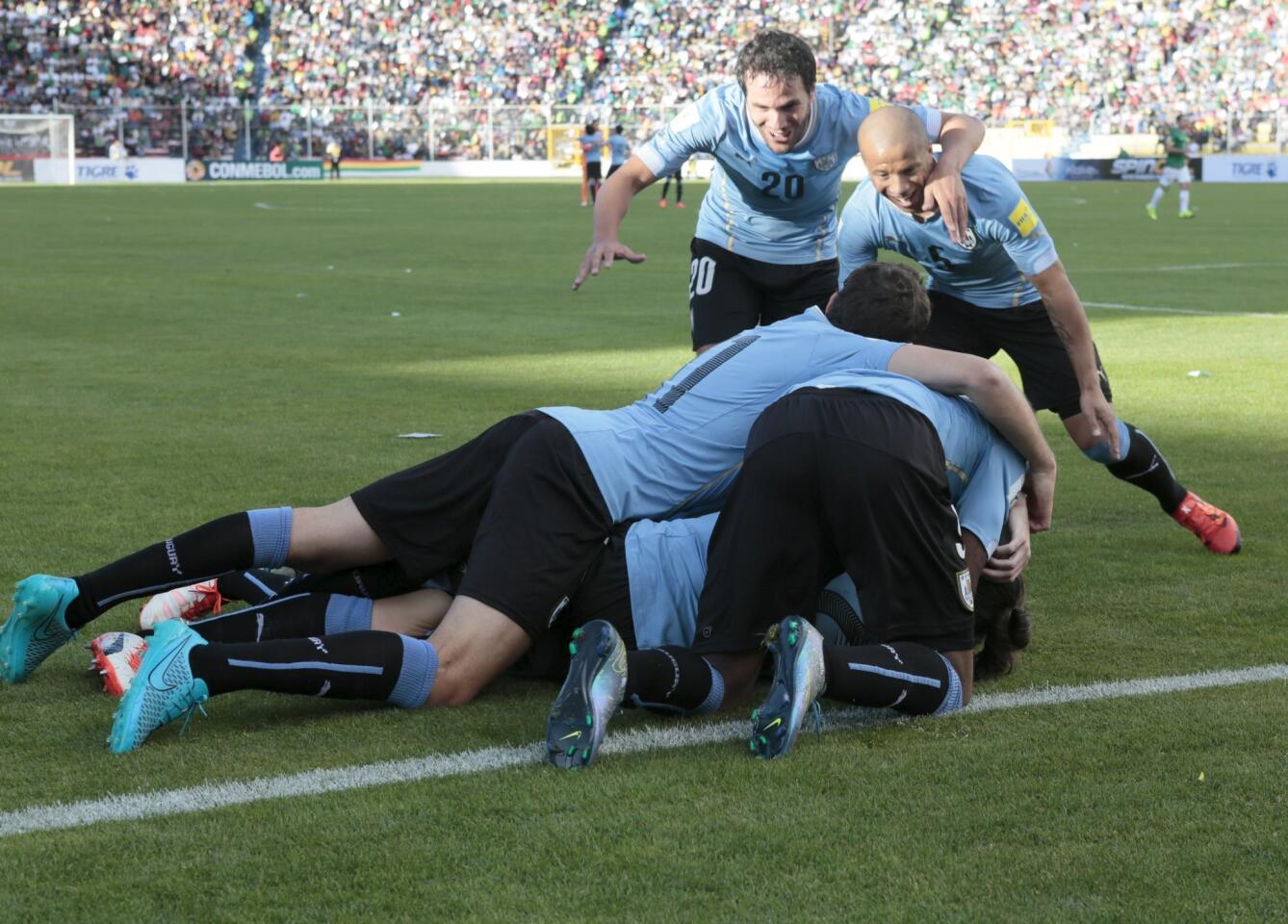 Players of Uruguay celebrate their team's second goal after teammate Diego Godin scored against Bolivia during their 2018 World Cup qualifying soccer match in La Paz