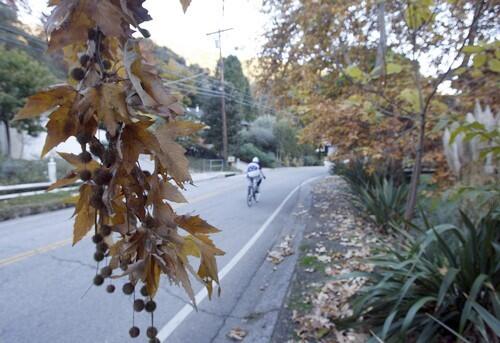 Mandeville Canyon