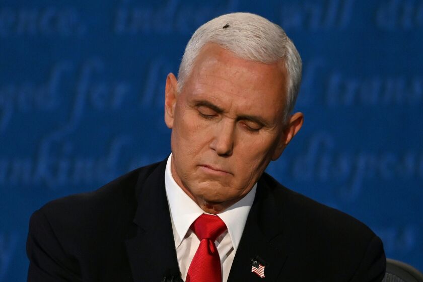 A fly rests on the head of  Vice President Mike Pence during the vice presidential debate against Kamala Harris.