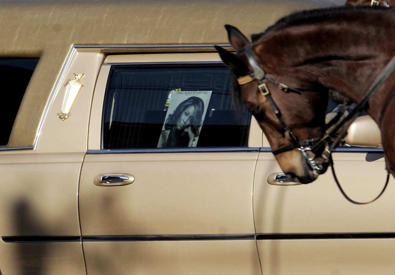 A police horse is seen in front of the hearse that carried Whitney Houston's body.