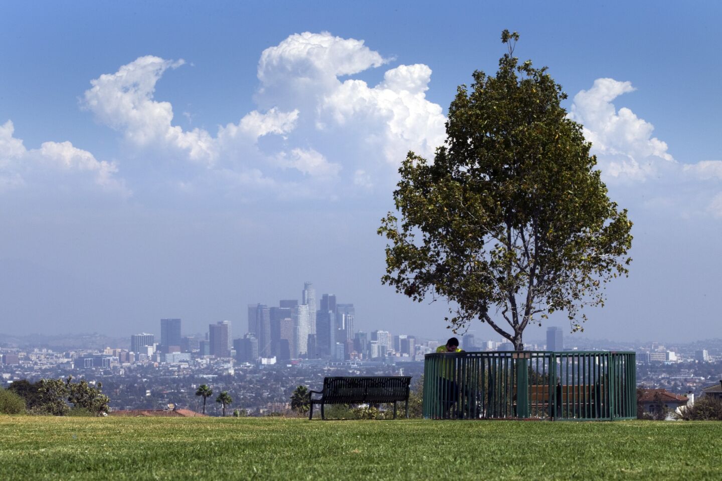 Oswaldo Escobar, of Los Angeles, finds shade while taking in the view of downtown from Kenneth Hahn State Recreation Area.
