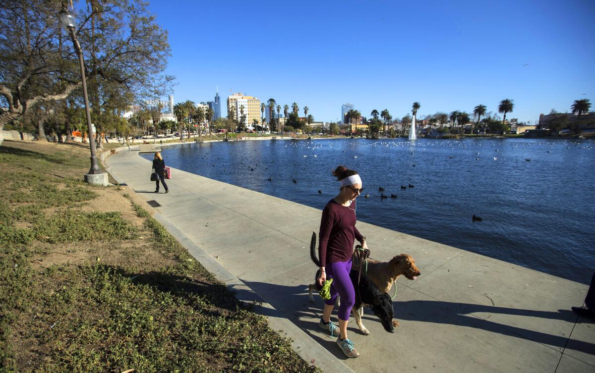 Feb. 23, 2018: A jogger with two dogs runs around the lake at MacArthur Park. After years of violence and neglect, MacArthur Park is undergoing changes that hint at an incoming wave of gentrification.