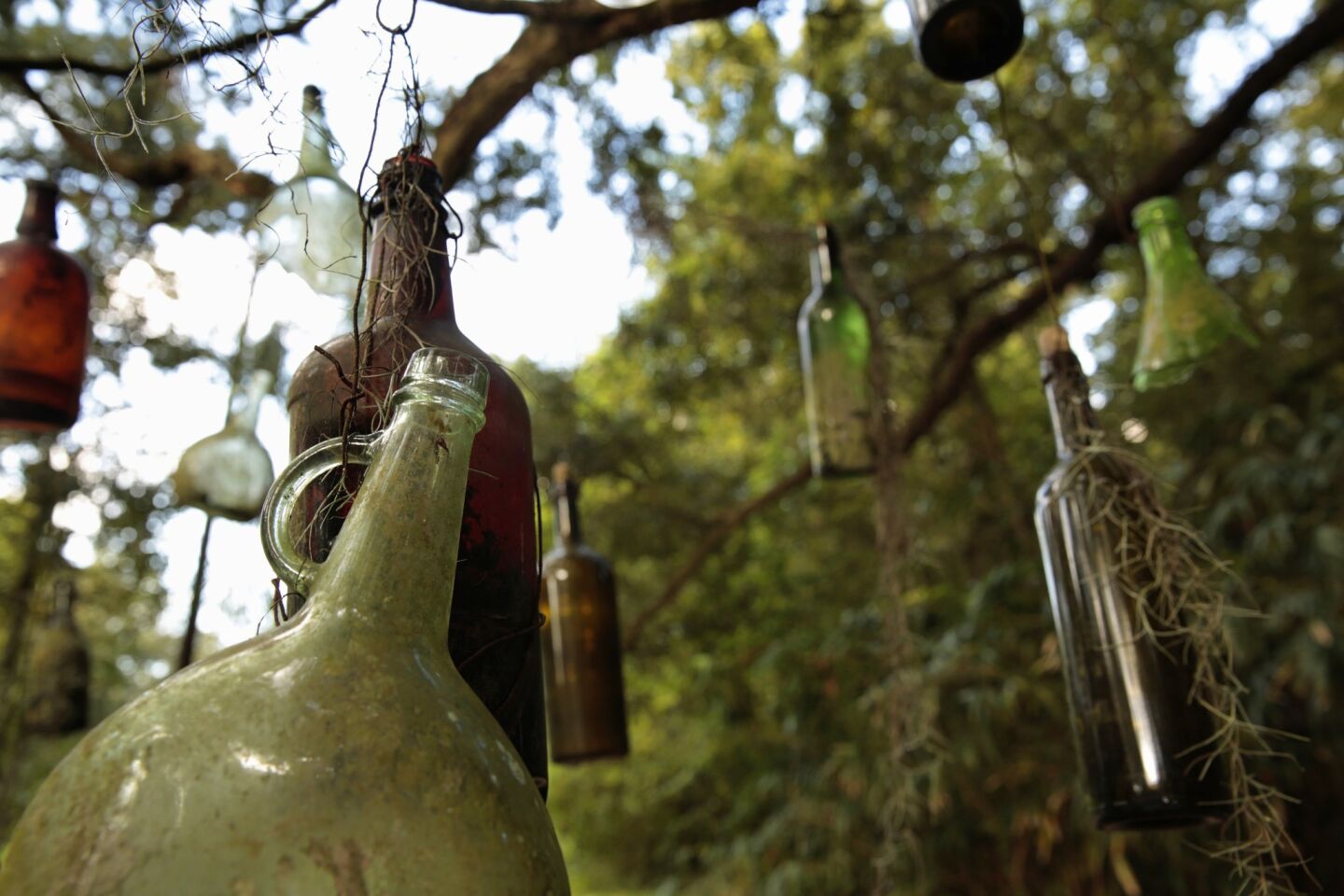Old bottles hang in a tree, placed there for spiritual reasons.