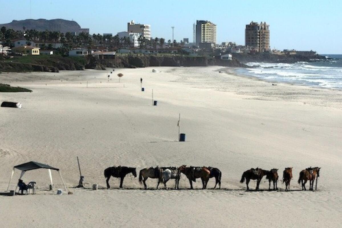 Horses for rent on the beach in front of Mexico's Rosarito Beach Hotel.