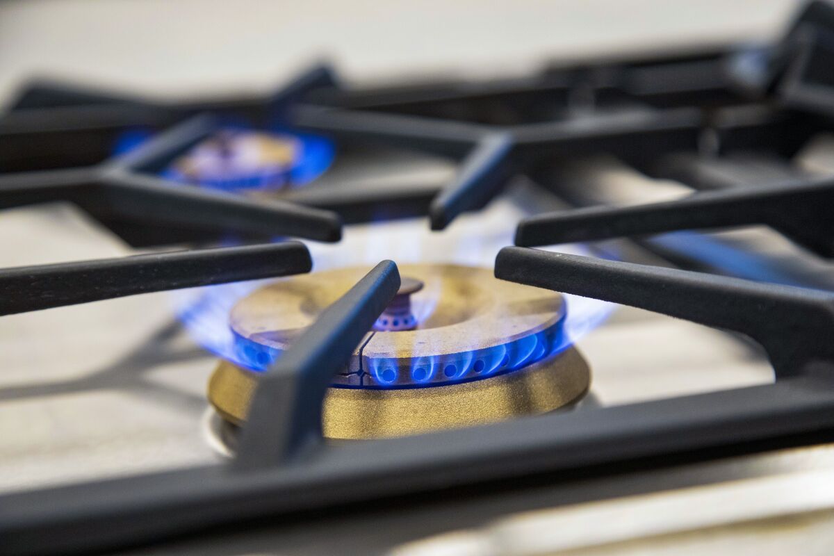 A gas stove burner with blue flames.