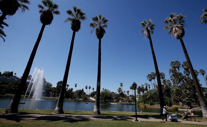 A body was found floating in Echo Park Lake, seen here in 2014, over the weekend.