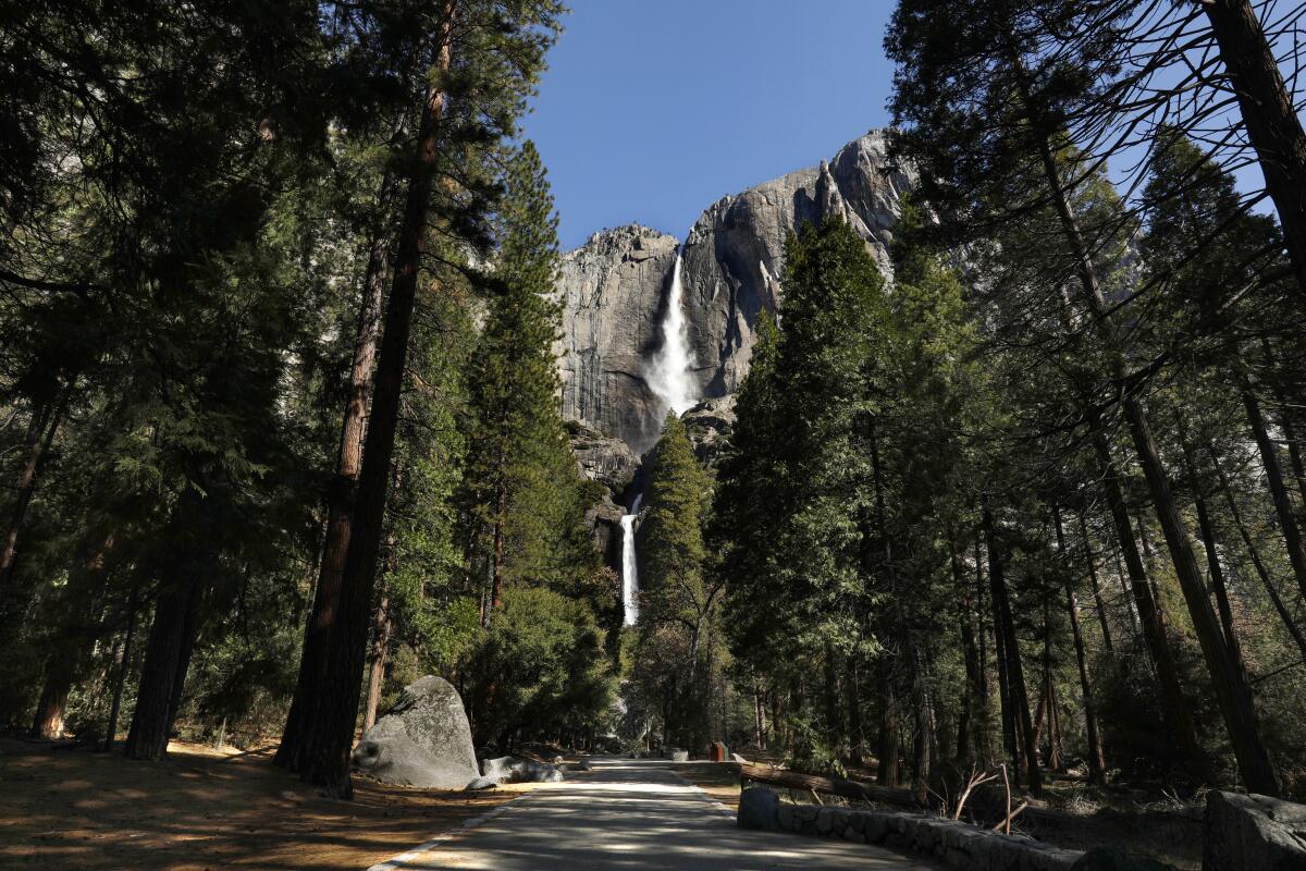 A view of a waterfall between trees.