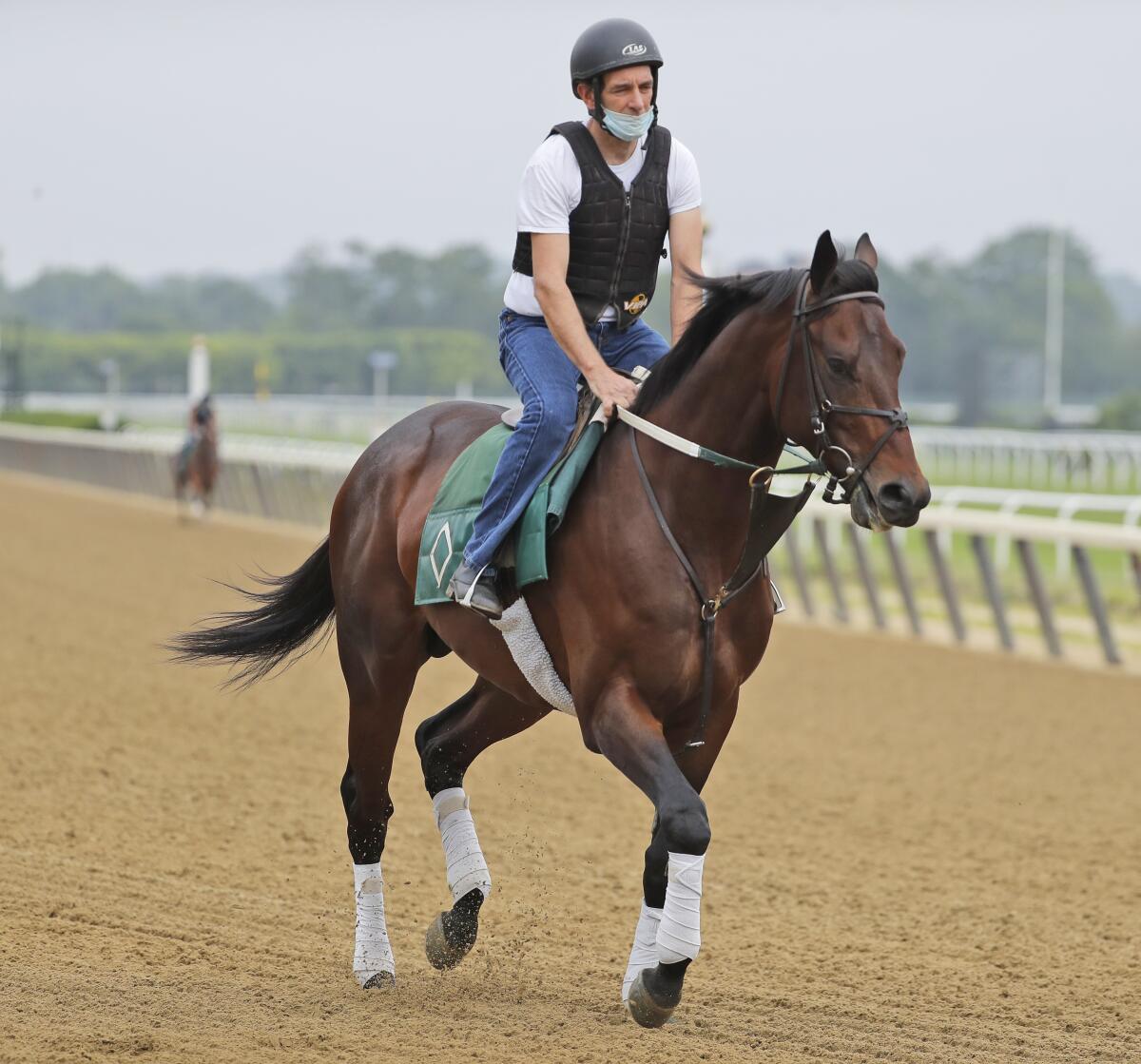Modernist works out on a track at Belmont Park in Elmont, N.Y., on Thursday.
