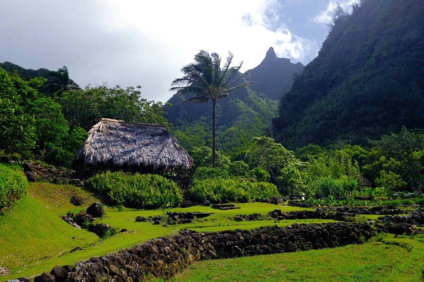 The brown roof of a grass hut sits amid abundant vegetation and green mountainsides.