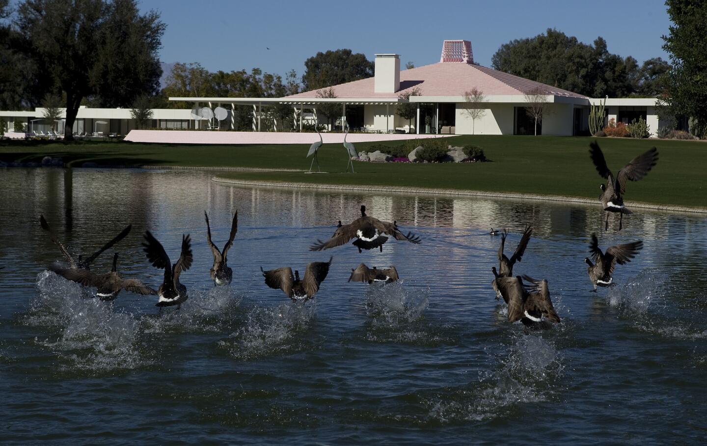 Sunnylands, the 200-acre Annenberg estate in Rancho Mirage that hosted five decades of political and Hollywood luminaries behind its pink walls, opened to the public for the first time in March of 2012.