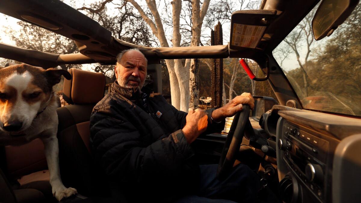 Peter Lang, owner of the Safari West, drives through the wildlife park with his dog Junior in Santa Rosa on Oct. 18, 2017.