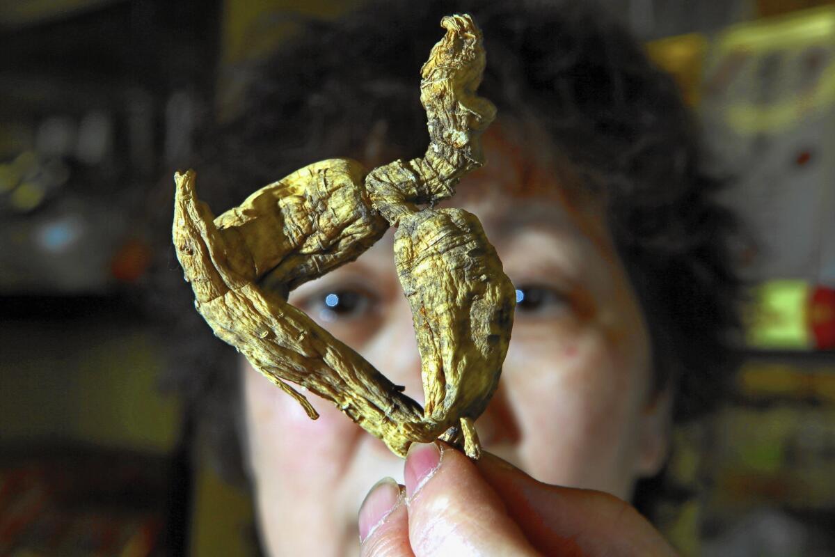 Jenny Trinh holds a piece of American ginseng that is being sold for $2,300 per pound at Shinsen Ginseng and Herbs Inc. in San Gabriel.