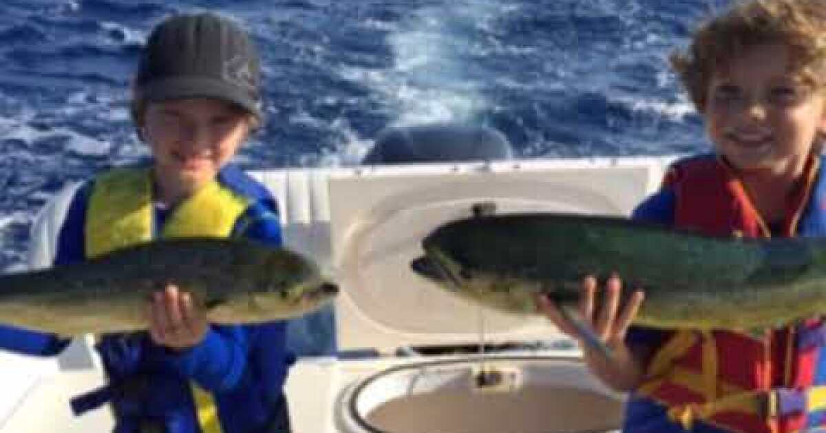 A tough year for dolphin fishing