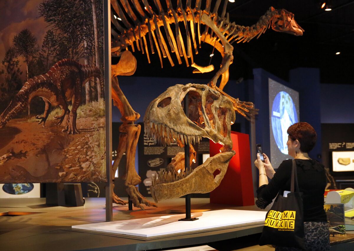 San Diego Natural History Museum will screen two films on the subject of dinosaurs.