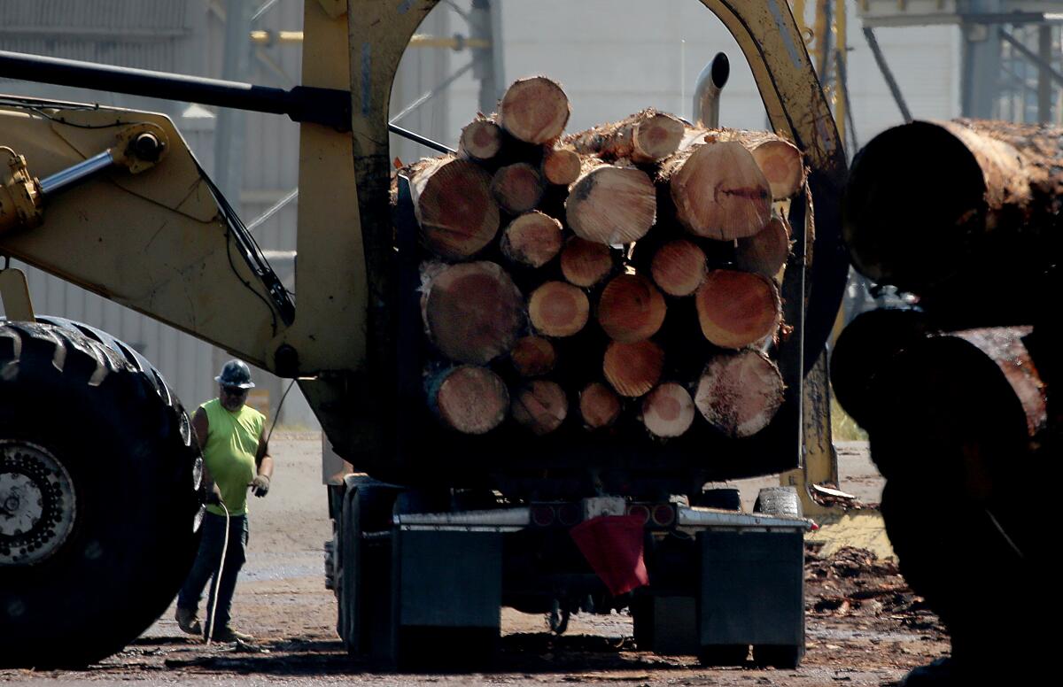 A giant loader grips a truckload of logs.