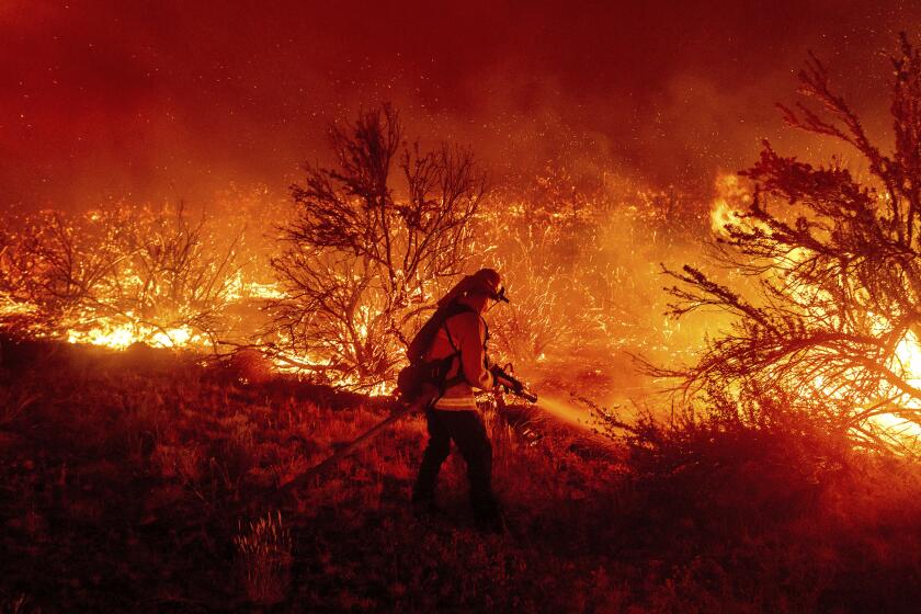 A firefighter battles the Dixie Fire as it jumps Highway 395, south of Janesville in Lassen County, Calif., on Monday, Aug. 16, 2021. Critical fire weather throughout the region has spread multiple wildfires burning in Northern California. (AP Photo/Noah Berger)