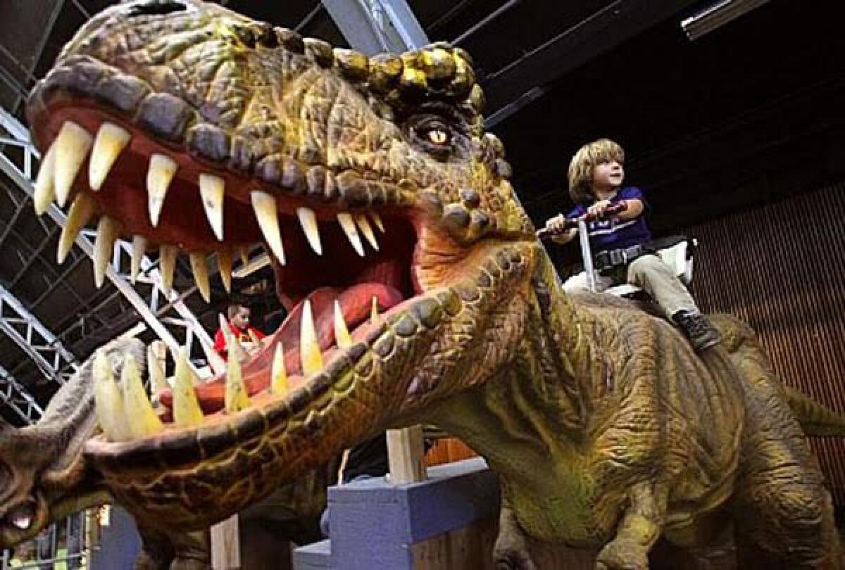 A child rides a dinosaur at a Jurassic Quest touring exhibit.