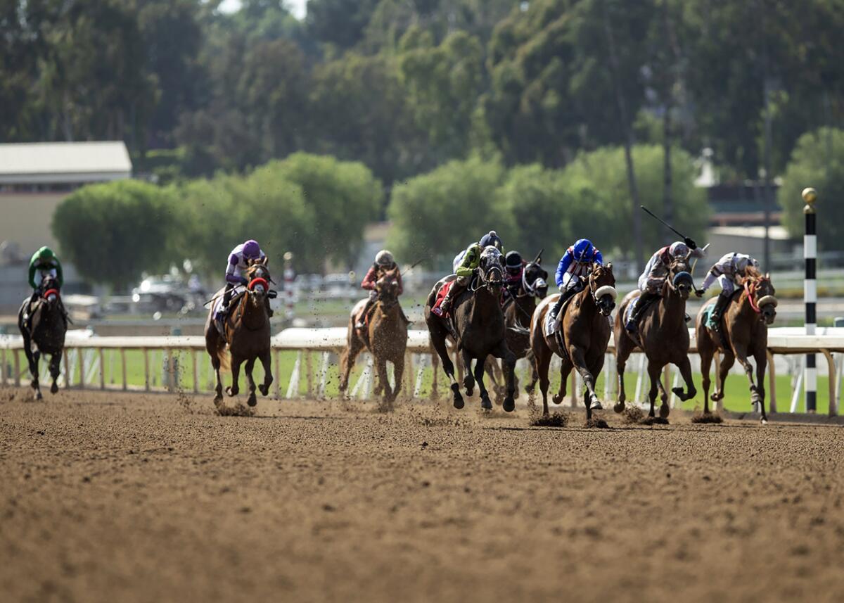 Horses compete in the $150,000 Evening Jewel Stakes at Santa Anita in May 2020.