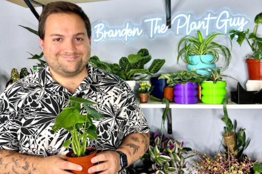 Brandon Hurst is Brandon The Plant Guy on TikTok.