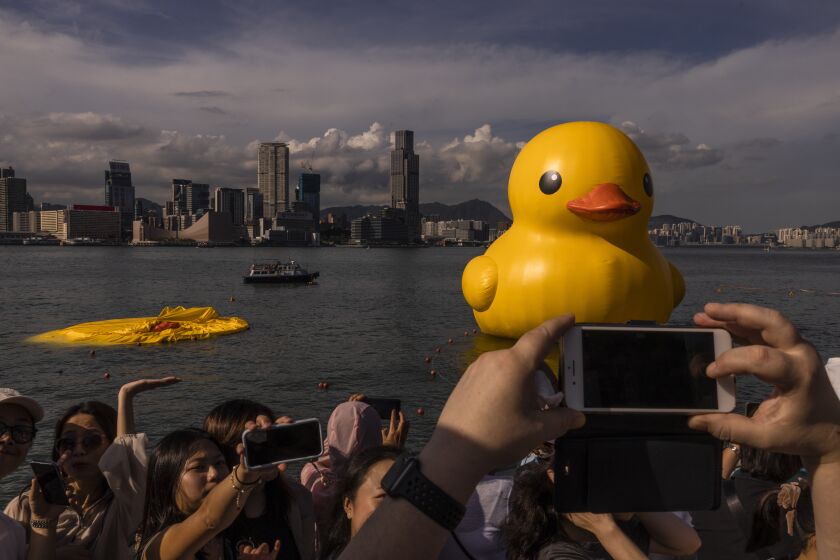 Una instalación de arte llamada "Double Ducks" del artista holandés Florentijn Hofman en el puerto de Victoria en Hong Kong, el 10 de junio de 2023. Uno de los patos se desinfló debido al calor. (Foto AP/Louise Delmotte)